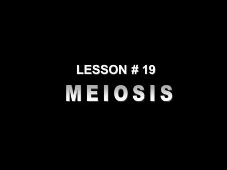 LESSON # 19 MEIOSIS.