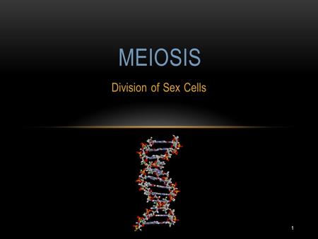 Meiosis Division of Sex Cells.