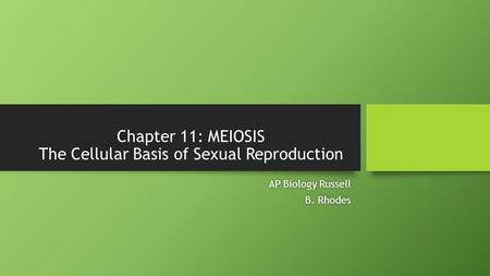 Chapter 11: MEIOSIS The Cellular Basis of Sexual Reproduction AP Biology RussellAP Biology Russell B. RhodesB. Rhodes.