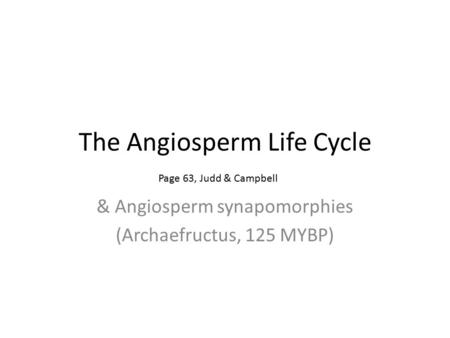 The Angiosperm Life Cycle & Angiosperm synapomorphies (Archaefructus, 125 MYBP) Page 63, Judd & Campbell.
