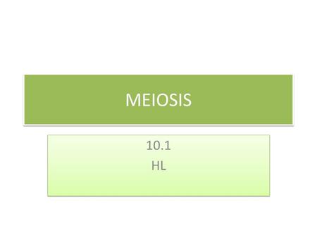 MEIOSIS 10.1 HL.