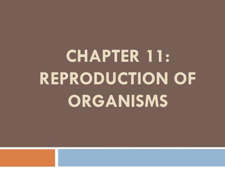 CHAPTER 11: REPRODUCTION OF ORGANISMS