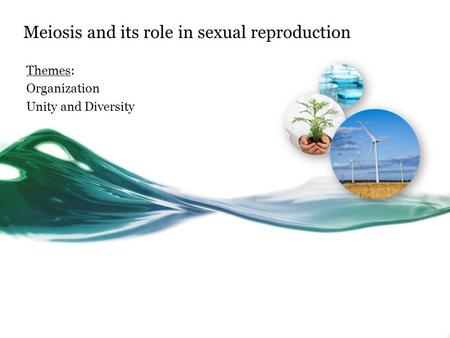 Meiosis and its role in sexual reproduction