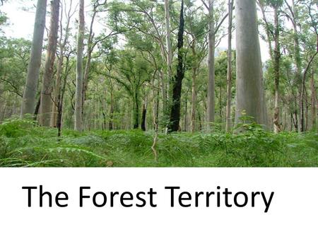 The Forest Territory. The Importance of Forests: 1.AN ENVIRONMENTAL TREASURE 2.A SPACE FOR LIVING AND RECREATION 3.AN ECONOMIC RESOURCE.