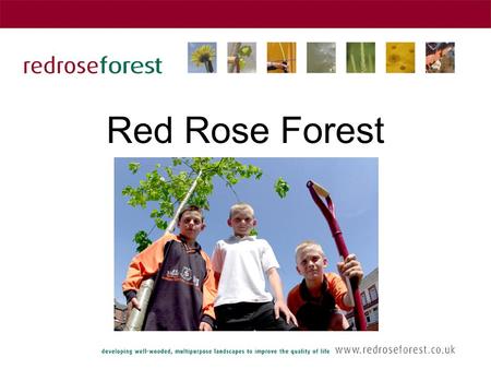 Red Rose Forest. The origins of Red Rose Forest One of 12 Community Forests across England Launched in 1992 as a Partnership of 6 Local Authorities and.