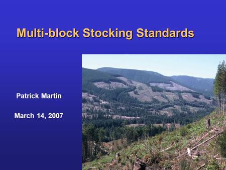 Patrick Martin March 14, 2007 Multi-block Stocking Standards.