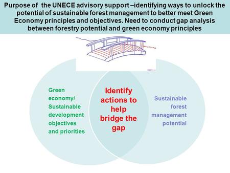 Purpose of the UNECE advisory support –identifying ways to unlock the potential of sustainable forest management to better meet Green Economy principles.