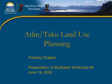 Atlin/Taku Land Use Planning Forestry Chapter Presentation to Multiparty Workshop #4 June 19, 2009.