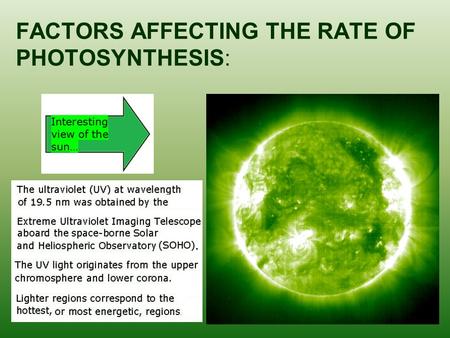 FACTORS AFFECTING THE RATE OF PHOTOSYNTHESIS:. 1) LIGHT As light intensity increases, the rate of photosynthesis initially increases, and thereafter,