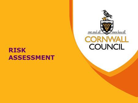 RISK ASSESSMENT. What is Risk Assessment? It is an examination of what we do, to determine the things that can cause harm to people It allows us to decide.