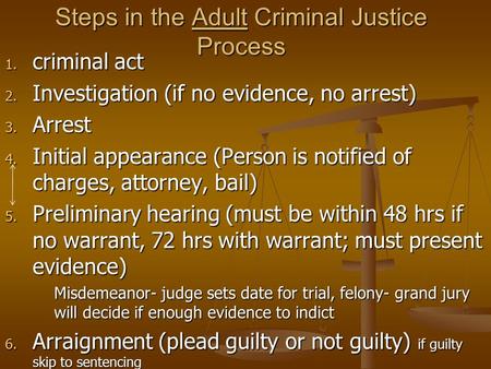 Steps in the Adult Criminal Justice Process