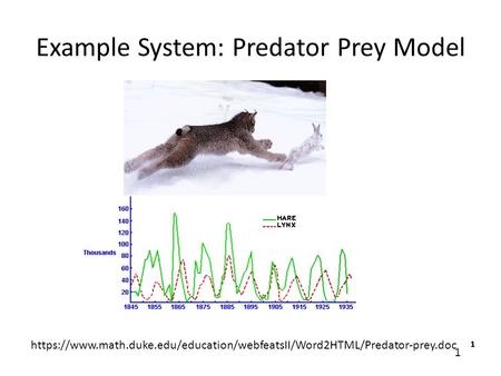 Example System: Predator Prey Model
