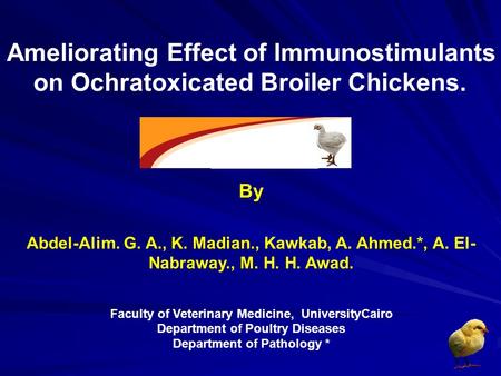 Ameliorating Effect of Immunostimulants on Ochratoxicated Broiler Chickens. By Abdel-Alim. G. A., K. Madian., Kawkab, A. Ahmed.*, A. El- Nabraway., M.