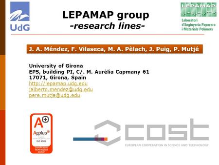 LEPAMAP group -research lines-