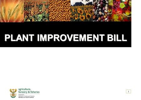 PLANT IMPROVEMENT BILL PLANT IMPROVEMENT BILL 1. CONTENT  ACRONYMS  INTRODUCTION  OBJECTIVES OF PLANT IMPROVEMENT BILL  SCHEMATIC OVERVIEW OF SCOPE.