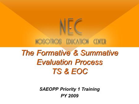 The Formative & Summative Evaluation Process TS & EOC SAEOPP Priority 1 Training PY 2009.