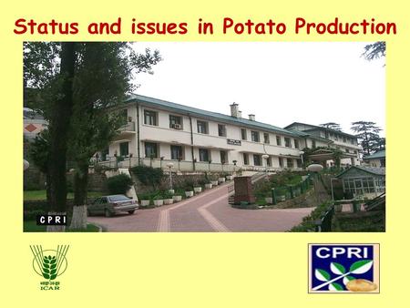 Status and issues in Potato Production. STATUS Current Scenario  India is producing 41.3 m tons (2011-12) from 1.9 m ha at an average productivity of.