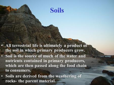 Soils All terrestrial life is ultimately a product of the soil in which primary producers grow.All terrestrial life is ultimately a product of the soil.