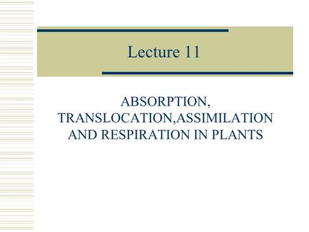 Lecture 11 ABSORPTION, TRANSLOCATION,ASSIMILATION AND RESPIRATION IN PLANTS.