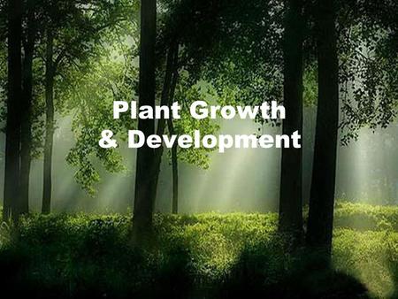 Plant Growth & Development. Necessities for Plants Plants require the following: –Water, carbon dioxide and light in order to run photosynthesis and produce.