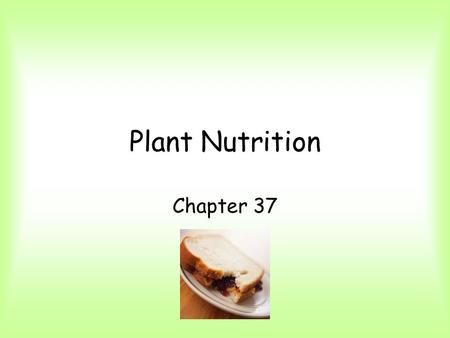 Plant Nutrition Chapter 37. Uptake of nutrients happens in roots and leaves. Roots, through mycorrhizae and root hairs, absorb water and minerals from.