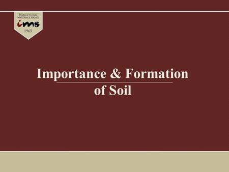 Importance & Formation of Soil. Importance of Soil Much of the United States ’ success is due to the productive capacity of the soil – U. S. produces.