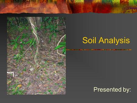 Soil Analysis Presented by:. SKHLKMSS Geography Task Force.