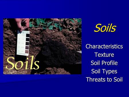 Soils CharacteristicsTexture Soil Profile Soil Types Threats to Soil.
