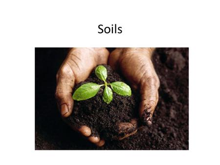 Soils.