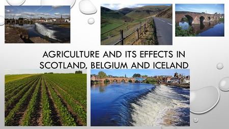 Agriculture and its effects in Scotland, Belgium and Iceland
