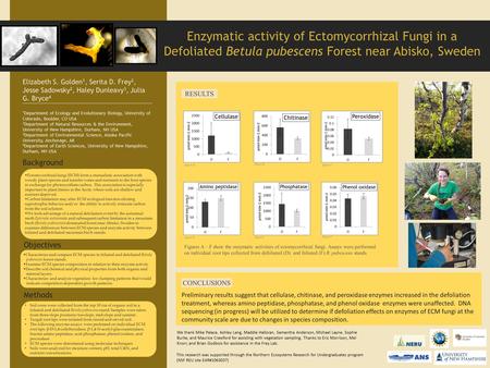 Ectomycorrhizal fungi (ECM) form a mutualistic association with woody plant species and transfer water and nutrients to the host species in exchange for.