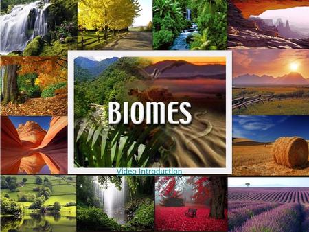 Video Introduction. Lesson Essential Questions What are the major biomes in the world? What factors are used to classify biomes? How does an organism’s.