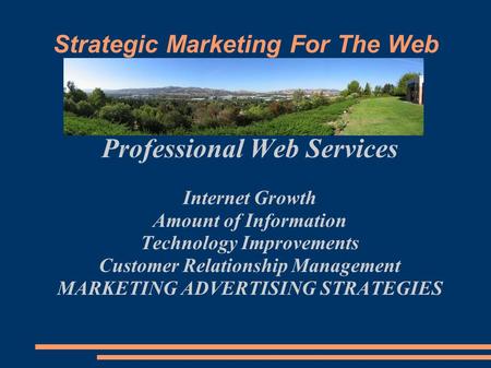 Strategic Marketing For The Web Professional Web Services Internet Growth Amount of Information Technology Improvements Customer Relationship Management.