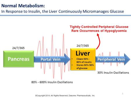 Normal Metabolism: In Response to Insulin, the Liver Continuously Micromanages Glucose Pancreas Liver Clears 50% - 80% of insulin Stores 30%-50% of glucose.