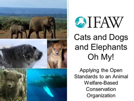 Cats and Dogs and Elephants Oh My! Applying the Open Standards to an Animal Welfare-Based Conservation Organization.