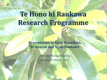 Te Hono ki Raukawa Research Programme