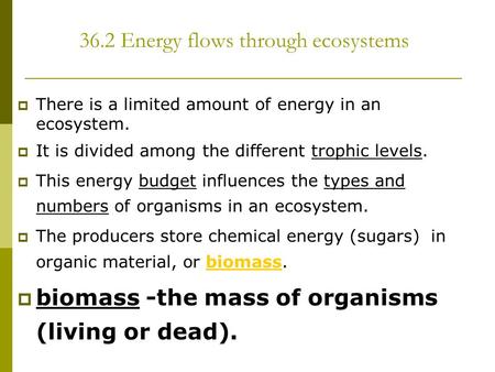 36.2 Energy flows through ecosystems  There is a limited amount of energy in an ecosystem.  It is divided among the different trophic levels.  This.