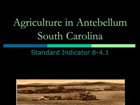 Agriculture in Antebellum South Carolina