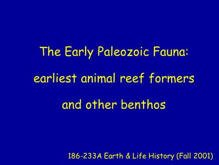 The Early Paleozoic Fauna: earliest animal reef formers