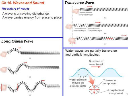 Ch 16. Waves and Sound Transverse Wave Longitudinal Wave