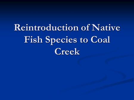 Reintroduction of Native Fish Species to Coal Creek.