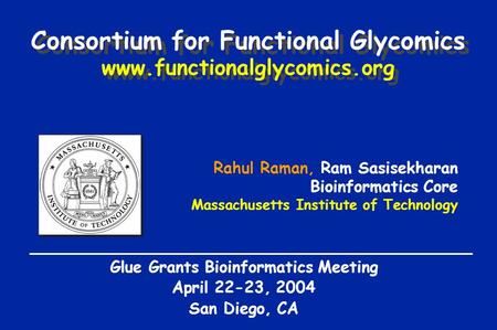 Rahul Raman, Ram Sasisekharan Bioinformatics Core Massachusetts Institute of Technology Glue Grants Bioinformatics Meeting April 22-23, 2004 San Diego,