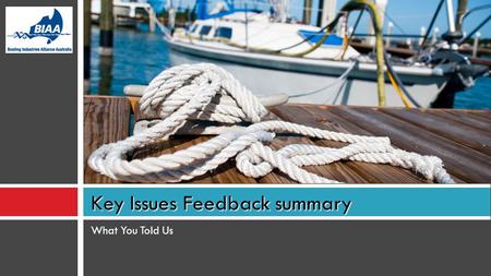 What You Told Us Key Issues Feedback summary. Issues Feedback received from broad range of businesses across all States of Australia which identified: