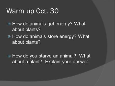 Warm up Oct. 30 How do animals get energy? What about plants?