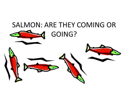 SALMON: ARE THEY COMING OR GOING?. Secret Life of Salmon.