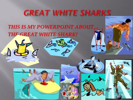 GREAT WHITE SHARKS THIS IS MY POWERPOINT ABOUT… THE GREAT WHITE SHARK!