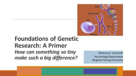 Foundations of Genetic Research: A Primer How can something so tiny make such a big difference? Rebecca A. Lundwall Psychology Department Brigham Young.
