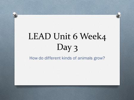 LEAD Unit 6 Week4 Day 3 How do different kinds of animals grow?