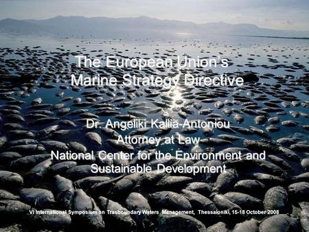 VI International Symposium on Trasboundary Waters Management, Thessaloniki, 15-18 October 2008 The European Union’s Marine Strategy Directive Dr. Angeliki.