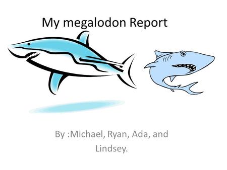 My megalodon Report By :Michael, Ryan, Ada, and Lindsey.